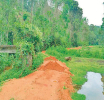 அருகிவரும் பந்துல மீனினத்தின் (Bandula Barb) வாழிடமாகவுள்ள நிக்கந்துபொல நீரோடையின் ஒருபகுதியை சரணாலயமாக பிரகடனப்படுத்தல்